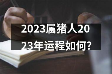 2025属猪人2025年运程如何？