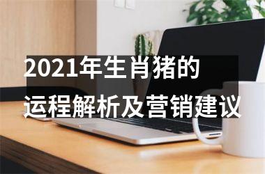 <h3>2025年生肖猪的运程解析及营销建议