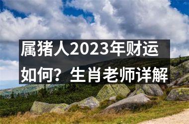 属猪人2025年财运如何？生肖老师详解