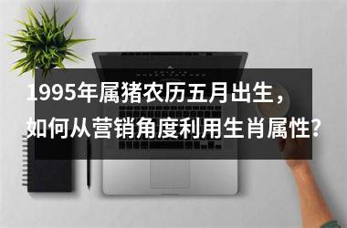 1995年属猪农历五月出生，如何从营销角度利用生肖属性？