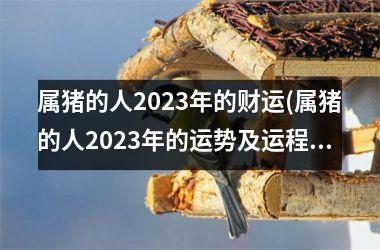 属猪的人2025年的财运(属猪的人2025年的运势及运程详解)