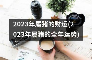 2025年属猪的财运(2025年属猪的全年运势)