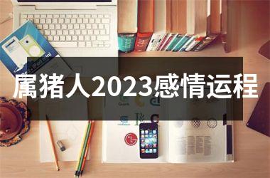 <h3>属猪人2025感情运程