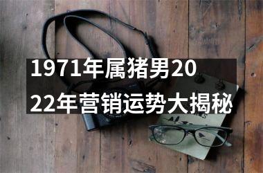 <h3>1971年属猪男2025年营销运势大揭秘