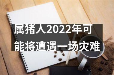 <h3>属猪人2025年可能将遭遇一场灾难