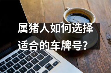 属猪人如何选择适合的车牌号？