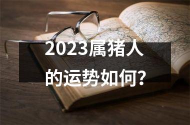 2025属猪人的运势如何？