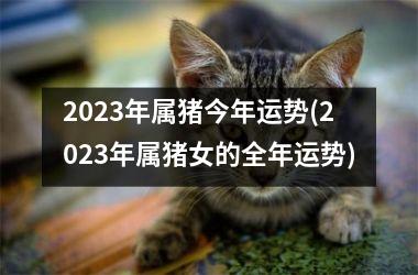 2025年属猪今年运势(2025年属猪女的全年运势)