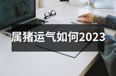 属猪运气如何2025