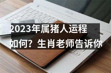 2025年属猪人运程如何？生肖老师告诉你