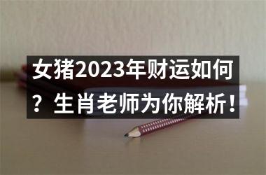 女猪2025年财运如何？生肖老师为你解析！