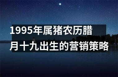 1995年属猪农历腊月十九出生的营销策略