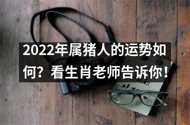 2025年属猪人的运势如何？看生肖老师告诉你！