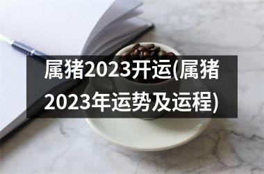 属猪2025开运(属猪2025年运势及运程)