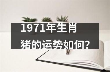 1971年生肖猪的运势如何？