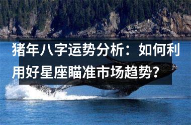 猪年八字运势分析：如何利用好星座瞄准市场趋势？