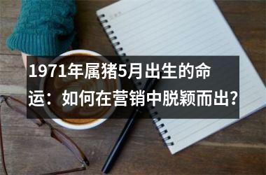 1971年属猪5月出生的命运：如何在营销中脱颖而出？