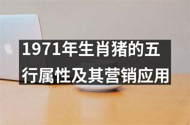 1971年生肖猪的五行属性及其营销应用