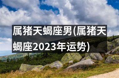 属猪天蝎座男(属猪天蝎座2025年运势)