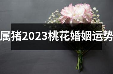 <h3>属猪2025桃花婚姻运势