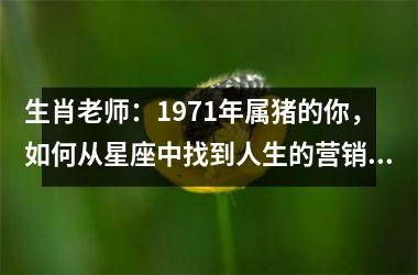 生肖老师：1971年属猪的你，如何从星座中找到人生的营销策略？