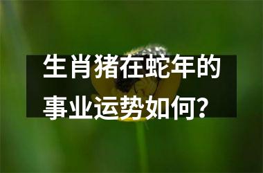 生肖猪在蛇年的事业运势如何？