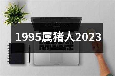 1995属猪人2025