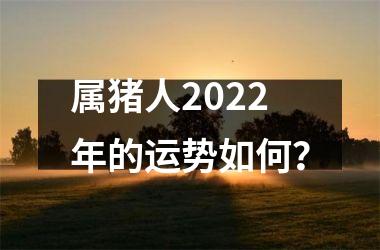 属猪人2022年的运势如何？