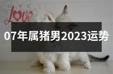 07年属猪男2025运势