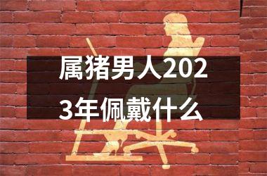 属猪男人2025年佩戴什么