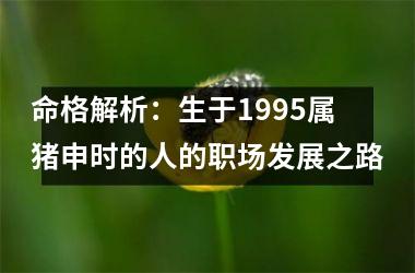 命格解析：生于1995属猪申时的人的职场发展之路