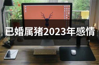 已婚属猪2025年感情