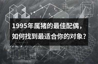 1995年属猪的佳配偶，如何找到适合你的对象？