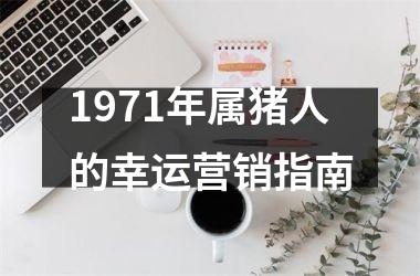 1971年属猪人的幸运营销指南