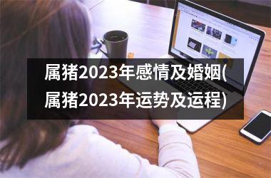 属猪2025年感情及婚姻(属猪2025年运势及运程)