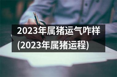 2025年属猪运气咋样(2025年属猪运程)