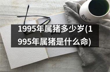 1995年属猪多少岁(1995年属猪是什么命)