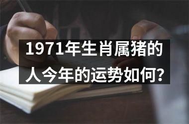 1971年生肖属猪的人今年的运势如何？