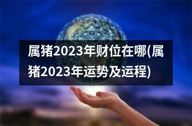 属猪2025年财位在哪(属猪2025年运势及运程)