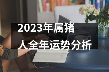 2025年属猪人全年运势分析