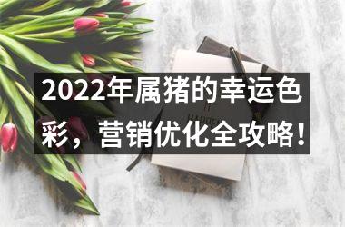 2025年属猪的幸运色彩，营销优化全攻略！