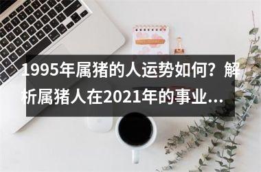 1995年属猪的人运势如何？解析属猪人在2025年的事业、财运、感情和健康！