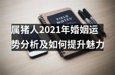 <h3>属猪人2025年婚姻运势分析及如何提升魅力