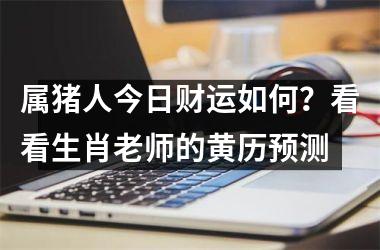 <h3>属猪人今日财运如何？看看生肖老师的黄历预测