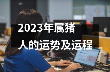 <h3>2025年属猪人的运势及运程