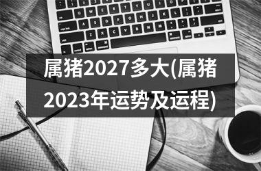 属猪2027多大(属猪2025年运势及运程)