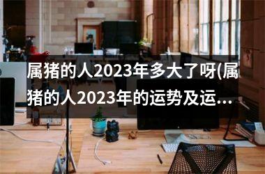 属猪的人2025年多大了呀(属猪的人2025年的运势及运程详解)