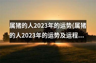 属猪的人2025年的运势(属猪的人2025年的运势及运程详解)