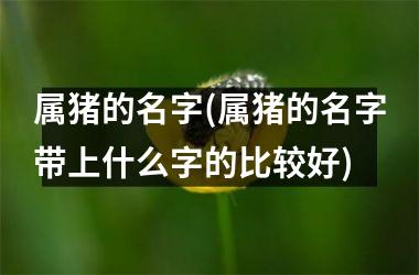 属猪的名字(属猪的名字带上什么字的比较好)