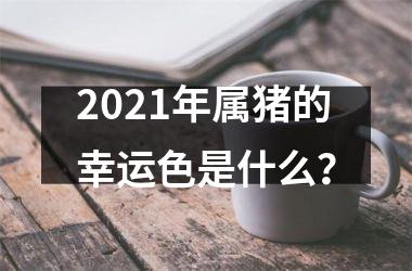 2025年属猪的幸运色是什么？